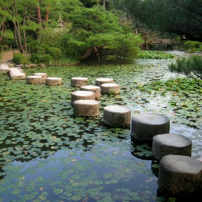jardin japonais rondins de bois au milieu des nénuphars